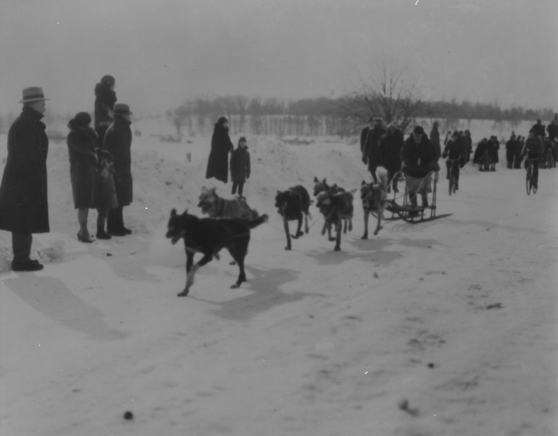 dog-derby-st-godard-canada-dept-of-interiorlibrary-and-archives-canadapa-043702