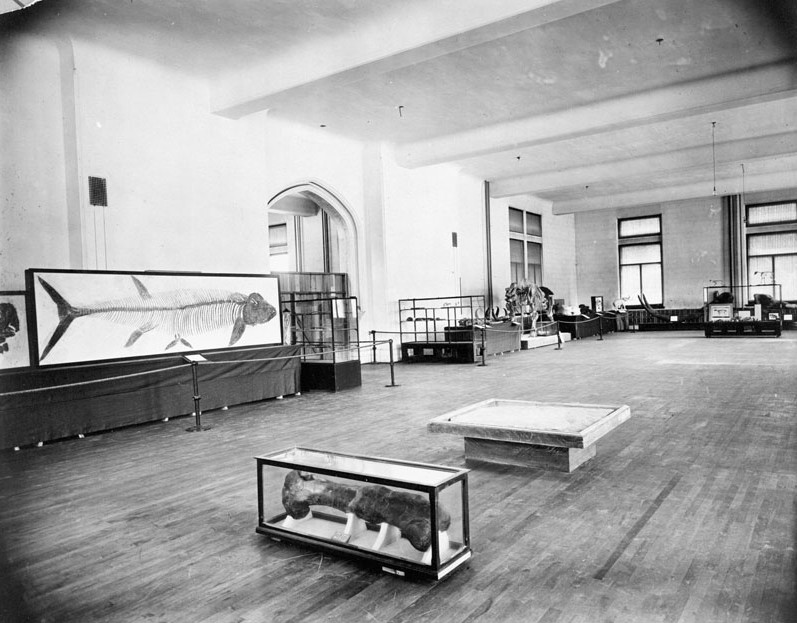 Victoria Memorial Museum inside, 1913, Geological Survey of Canada LAC-065507